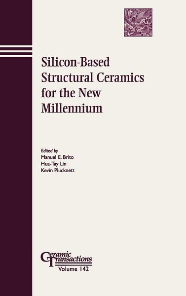 Produktbild: Silicon-Based CT Vol 142