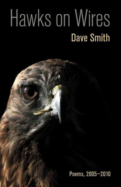 Produktbild: Hawks on Wires