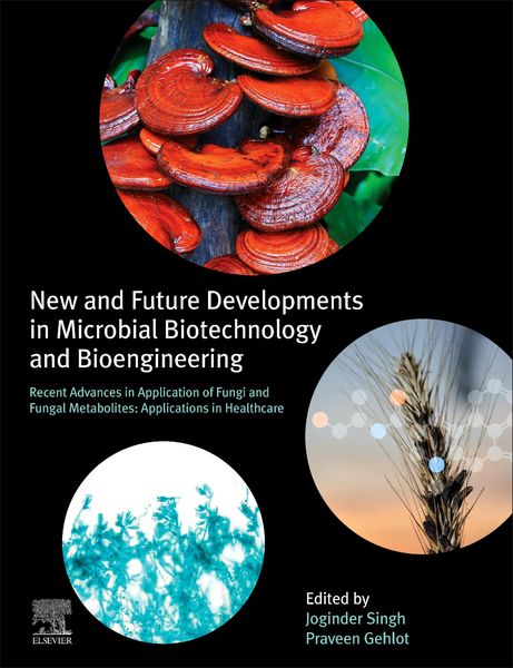Produktbild: New and Future Developments in Microbial Biotechnology and Bioengineering