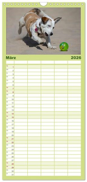 Produktbild: Familienplaner 2026 - Hunde Action mit 5 Spalten (Wandkalender, 21 x 45 cm) CALVENDO