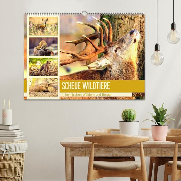 Produktbild: Scheue Wildtiere in heimischen W&auml;ldern und Bergen (Wandkalender 2026 DIN A2 quer), CALVENDO Monatskalender
