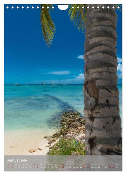 Produktbild: Karibischer Traum Isla Saona (Wandkalender 2026 DIN A4 hoch), CALVENDO Monatskalender