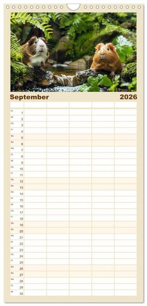 Produktbild: Familienplaner 2026 - Wuschelbande - Ein Jahr voller Meerschweinchen mit 5 Spalten (Wandkalender, 21 x 45 cm) CALVENDO