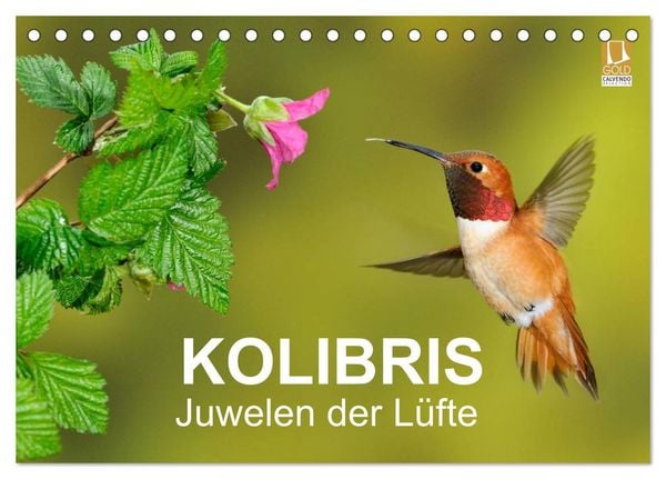 Produktbild: Kolibris - Juwelen der L&uuml;fte (Tischkalender 2026 DIN A5 quer), CALVENDO Monatskalender