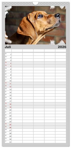 Produktbild: Familienplaner 2026 - Rhodesian Ridgeback - Moments mit 5 Spalten (Wandkalender, 21 x 45 cm) CALVENDO