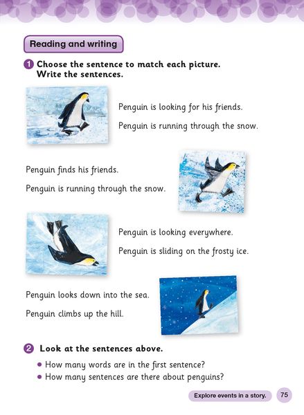 Produktbild: Collins Cambridge International Primary English - Cambridge International Primary English Student's Book: Stage 1