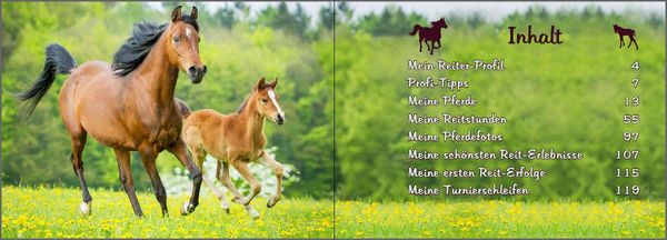 Mein Reiter-Tagebuch - Für alle Erlebnisse und Erinnerungen aus dem Reitstall