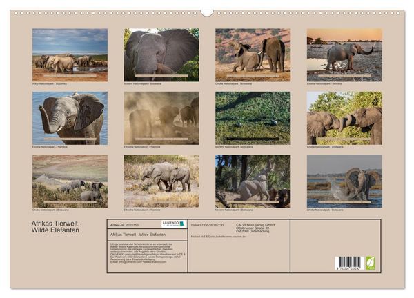 Produktbild: Afrikas Tierwelt - Wilde Elefanten (Wandkalender 2026 DIN A2 quer), CALVENDO Monatskalender