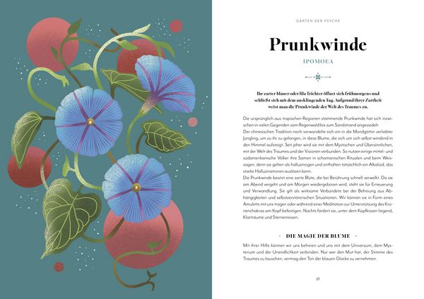 Produktbild: Blumen-Zauber