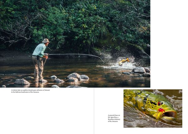 Produktbild: The Catch of a Lifetime