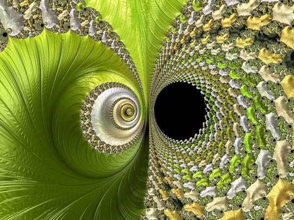 Produktbild: CALVENDO Puzzle Die gr&uuml;ne Bl&uuml;te | 1000 Teile Lege-Gr&ouml;&szlig;e 64x48cm Foto-Puzzle f&uuml;r gl&uuml;ckliche Stunden