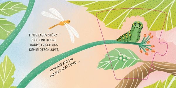 Produktbild: Geburt eines Schmetterlings