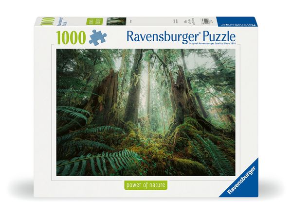 Produktbild: Erwachsenenpuzzle 1000 Teile - Faszinierender Wald