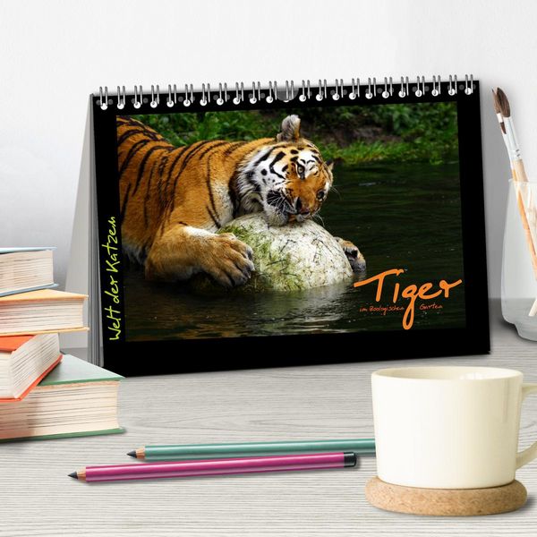 Produktbild: Welt der Katzen - Tiger (Tischkalender 2026 DIN A5 quer), CALVENDO Monatskalender