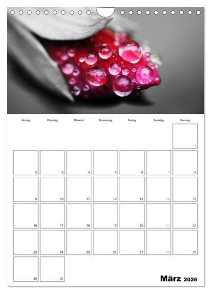 Produktbild: schwarz/wei&szlig; trifft farbe - DEIN TERMINKALENDER / Planer (Wandkalender 2026 DIN A4 hoch), CALVENDO Monatskalender