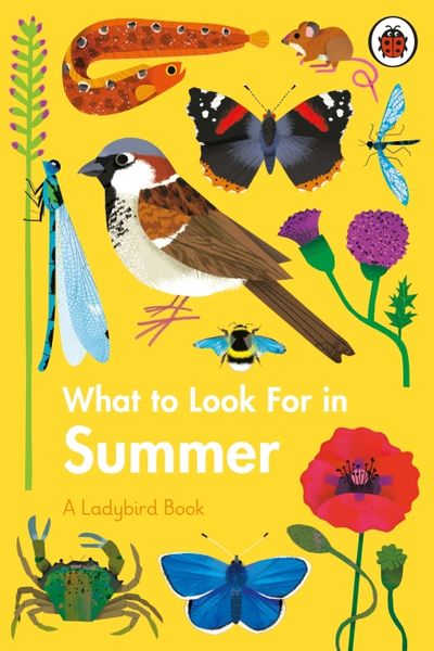 Produktbild: What to Look For in Summer