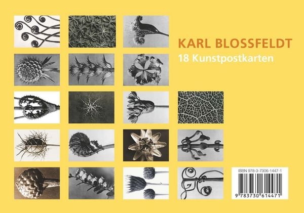 Produktbild: Postkarten-Set Blossfeldt