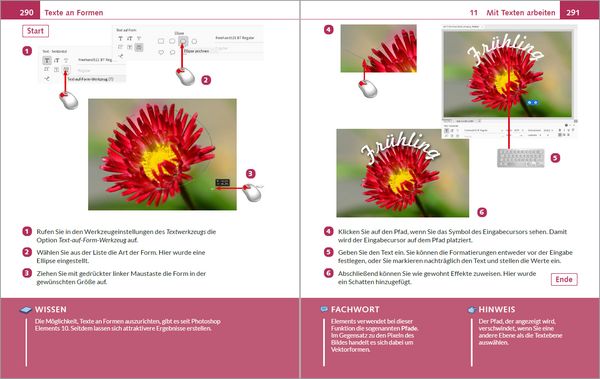 Produktbild: Photoshop Elements 2025 - Bild f&uuml;r Bild erkl&auml;rt