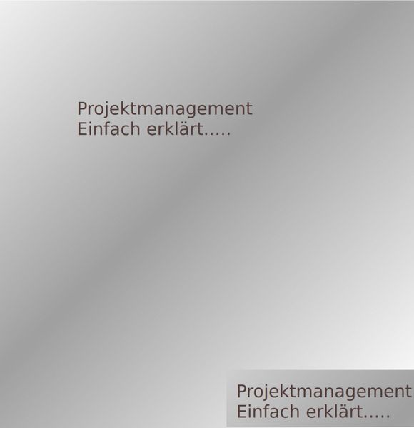 Produktbild: Projektmanagement