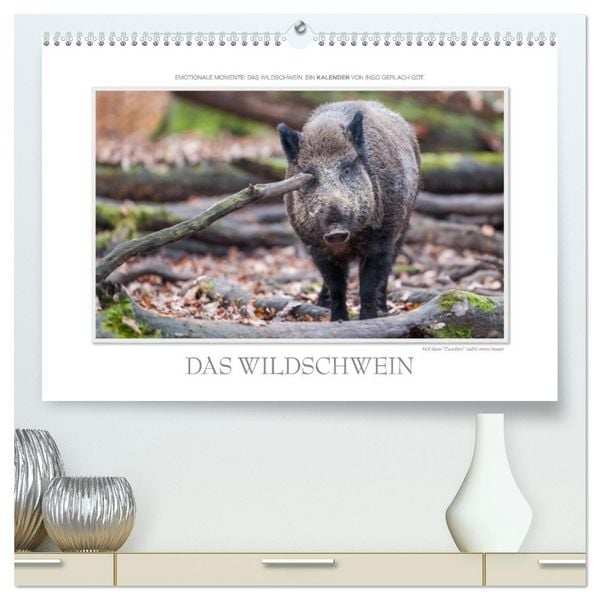 Produktbild: Emotionale Momente: Das Wildschwein. / CH-Version (hochwertiger Premium Wandkalender 2026 DIN A2 quer), Kunstdruck in Hochglanz