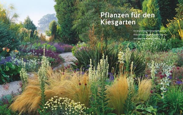 Produktbild: Bl&uuml;tenpracht ohne Gie&szlig;en