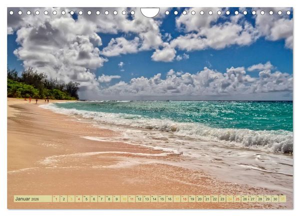 Produktbild: Die kleinen Antillen - Barbados (Wandkalender 2026 DIN A4 quer), CALVENDO Monatskalender