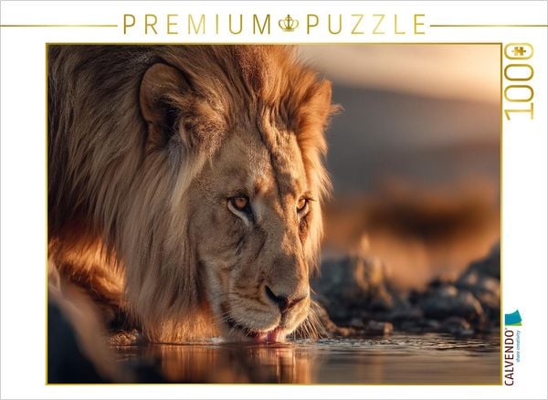 Produktbild: CALVENDO Puzzle Der L&ouml;we senkt den Kopf, um frisches Wasser zu trinken | 1000 Teile Lege-Gr&ouml;&szlig;e 64x48cm Foto-Puzzle f&uuml;r gl&uuml;ckliche Stunden