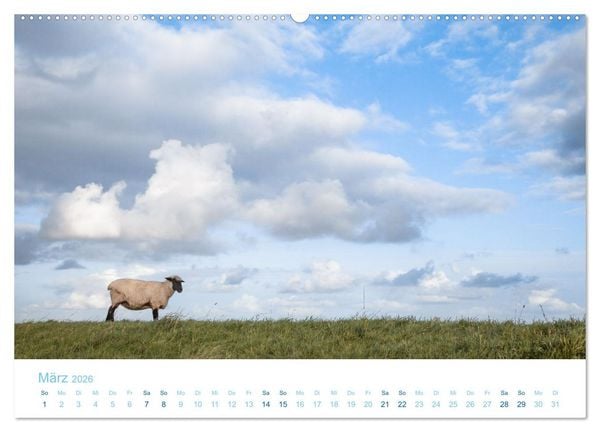 Produktbild: Mehr Nordsee (Wandkalender 2026 DIN A2 quer), CALVENDO Monatskalender