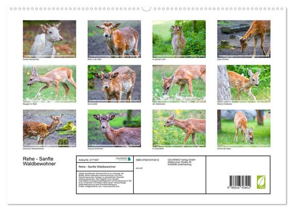 Produktbild: Rehe - Sanfte Waldbewohner (hochwertiger Premium Wandkalender 2026 DIN A2 quer), Kunstdruck in Hochglanz
