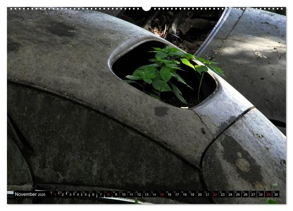 Produktbild: Autowracks - rostende Liebe (Wandkalender 2026 DIN A2 quer), CALVENDO Monatskalender