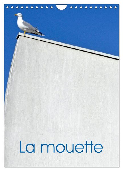 Produktbild: La mouette (Calendrier mural 2026 DIN A4 horizontal), CALVENDO calendrier mensuel