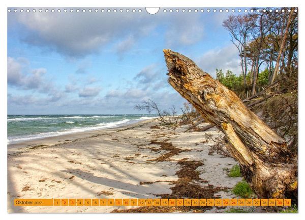 Produktbild: Wilder Dar&szlig;er Weststrand (Wandkalender 2027 DIN A3 quer), CALVENDO Monatskalender