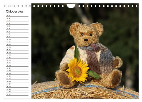 Produktbild: Teddy unterwegs (Wandkalender 2026 DIN A4 quer), CALVENDO Monatskalender