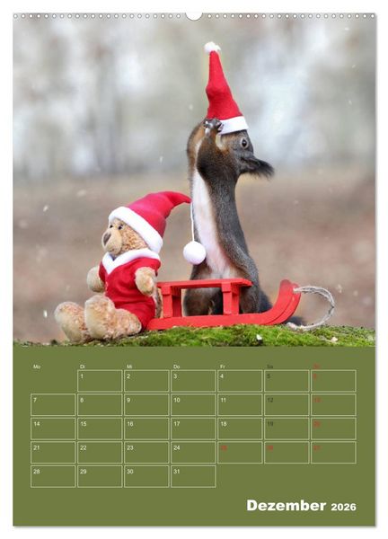Produktbild: Eichh&ouml;rnchen - Abenteuer mit Freund Teddy (hochwertiger Premium Wandkalender 2026 DIN A2 hoch), Kunstdruck in Hochglanz
