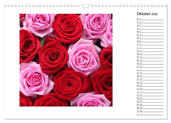 Produktbild: Die vielen Gesichter der Rosen (Wandkalender 2026 DIN A3 quer), CALVENDO Monatskalender