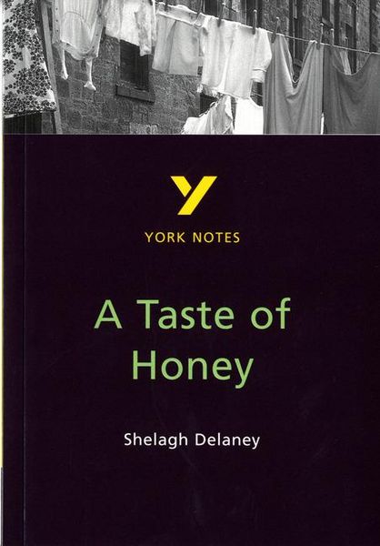 Produktbild: A Taste of Honey York Notes GCSE English Literature Study Guide - for 2026, 2027 exams