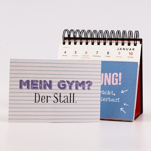 Produktbild: Pferdem&auml;dchen 2027 - Zum Reiten geboren, zum Ausmisten verdammt.