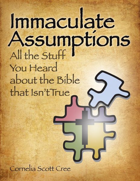 Produktbild: Immaculate Assumptions