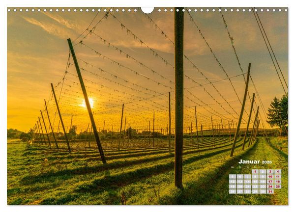 Produktbild: Hopfenland Holledau (Wandkalender 2026 DIN A3 quer), CALVENDO Monatskalender