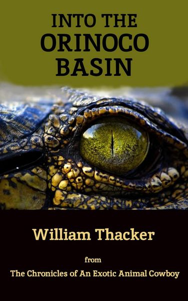 Produktbild: Into the Orinoco Basin (The Chronicles of An Exotic Animal Cowboy)