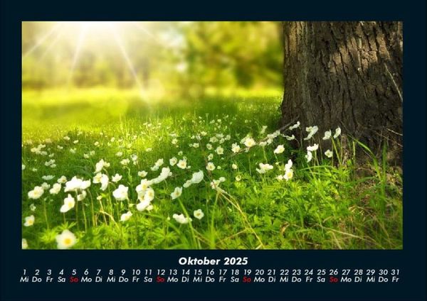 Produktbild: Pflanzen und Bl&uuml;ten 2025 Fotokalender DIN A4