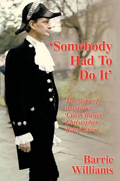 Produktbild: Somebody Had to Do It'