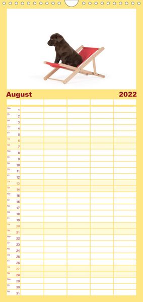 Produktbild: Familienplaner Labrador - Welpen (Wandkalender 2022 , 21 cm x 45 cm, hoch)