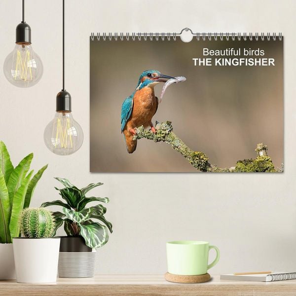 Produktbild: Beautiful birds THE KINGFISHER (Wall Calendar 2026 DIN A4 landscape), CALVENDO 12 Month Wall Calendar