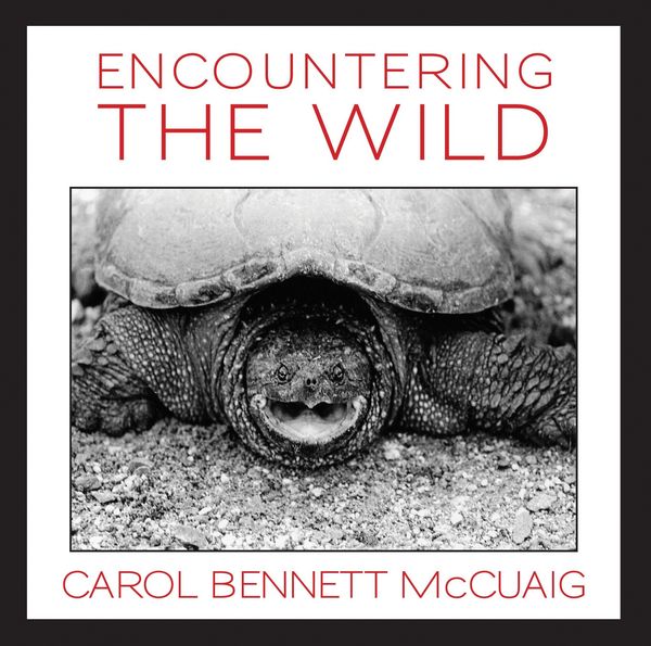 Produktbild: Encountering the Wild