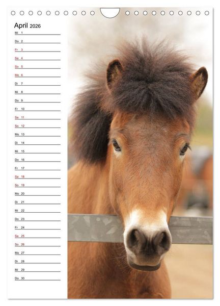 Produktbild: Isl&auml;nder im Portrait (Wandkalender 2026 DIN A4 hoch), CALVENDO Monatskalender