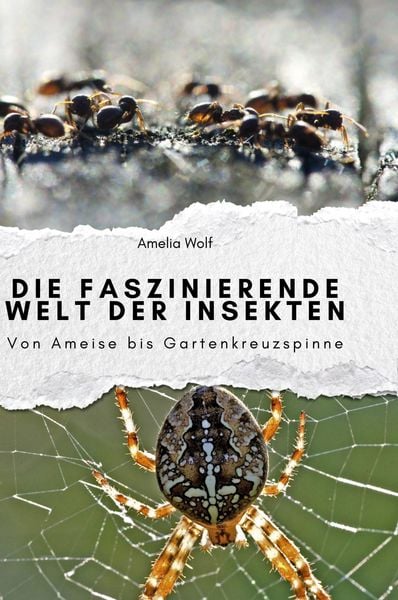 Produktbild: Die faszinierende Welt der Insekten