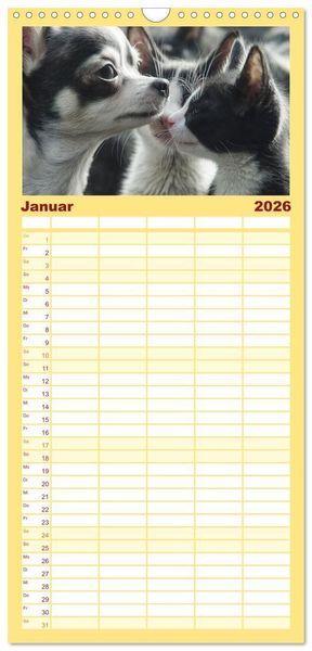 Produktbild: Familienplaner 2026 - Hund und Katze - Tierische Freunde mit 5 Spalten (Wandkalender, 21 x 45 cm) CALVENDO