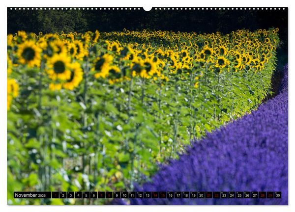 Produktbild: Provence im Rausch der Farben (hochwertiger Premium Wandkalender 2026 DIN A2 quer), Kunstdruck in Hochglanz