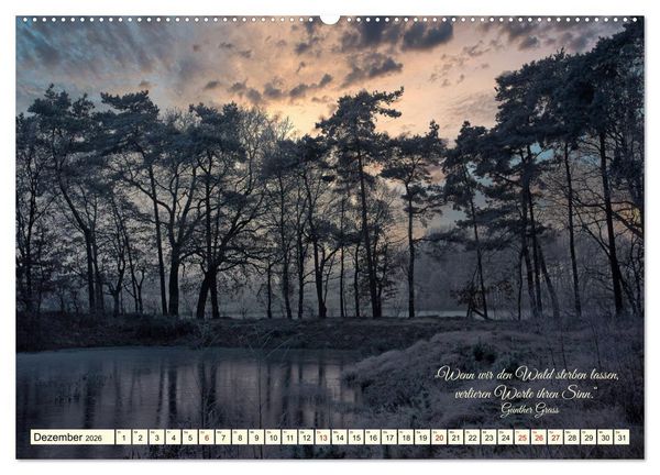 Produktbild: Waldbaden - Shinrin Yoku (hochwertiger Premium Wandkalender 2026 DIN A2 quer), Kunstdruck in Hochglanz